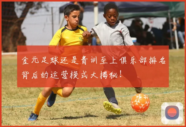 金元足球还是青训至上俱乐部排名背后的运营模式大揭秘!
